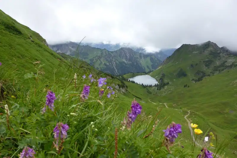 Allgäu Durchquerung - Bild 13