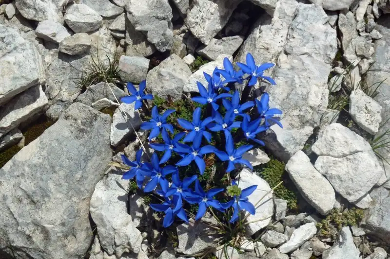 Individuelle Alpenüberquerung vom Tegernsee nach Sterzing  - Bild 13