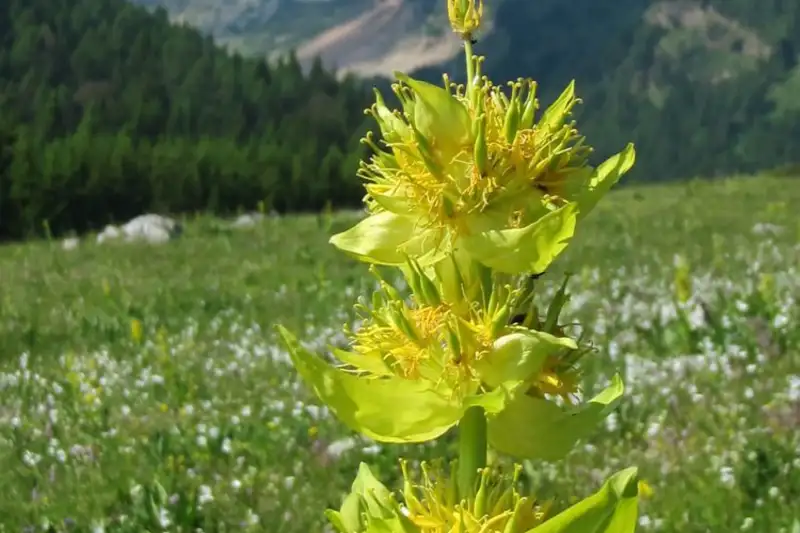 Individuelle Alpenüberquerung vom Tegernsee nach Sterzing  - Bild 16