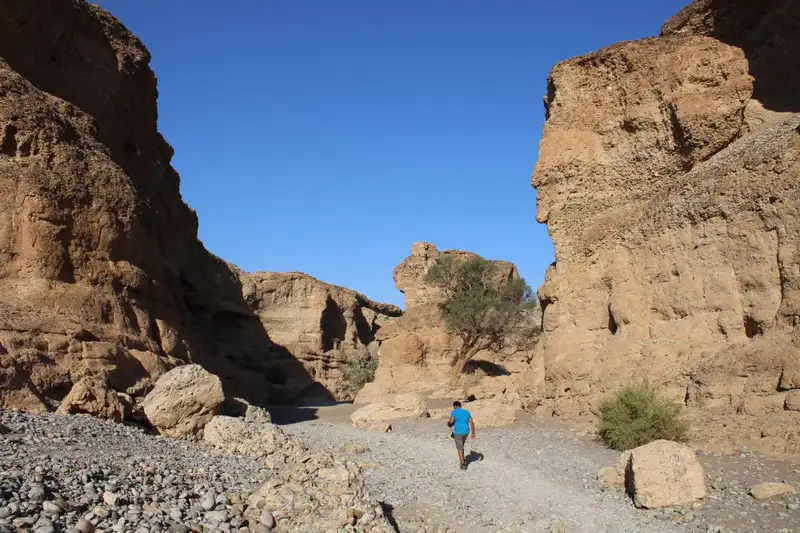 Namibias Naturwunder: Farbenpracht und grenzenlose Weite - Bild 15