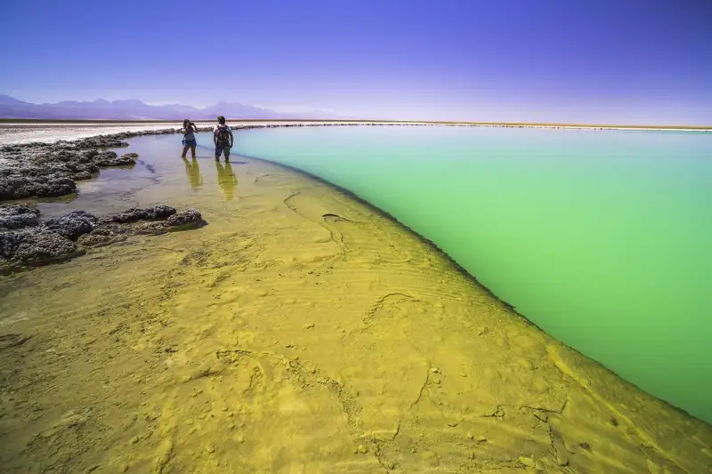 Chile - Das Land der Kontraste von Nord nach Süd - Bild 13