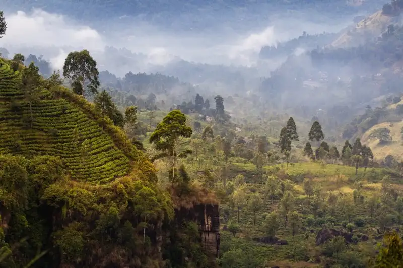 Magisches Sri Lanka - Eine Reise durch Geschichte, Natur und Kultur - Bild 8