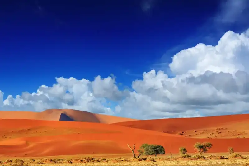 Namibia - die Wunderwelt der Wüsten - Bild 12