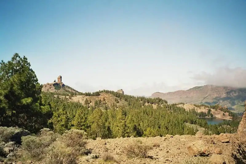 Die Highlights Gran Canarias erwandern - Bild 7