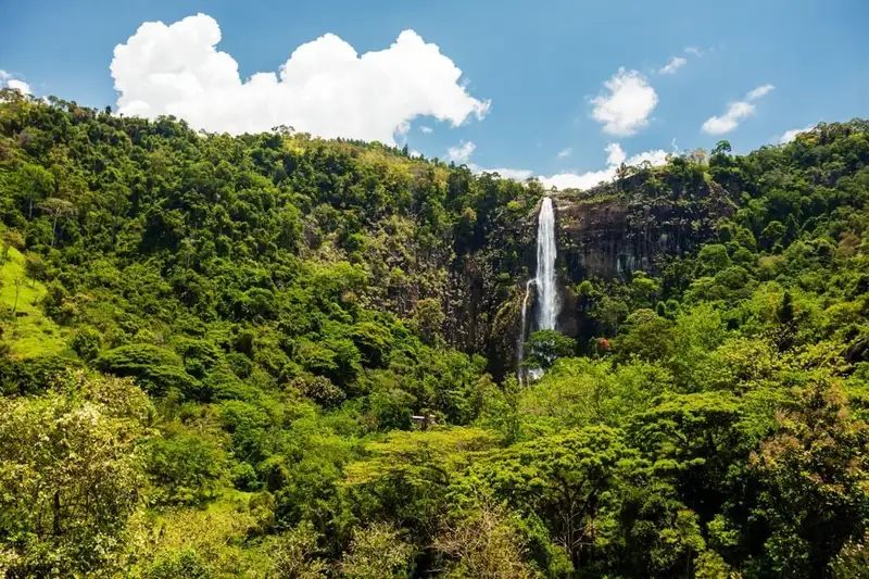 Sri Lanka komfortabel erwandern - Bild 10