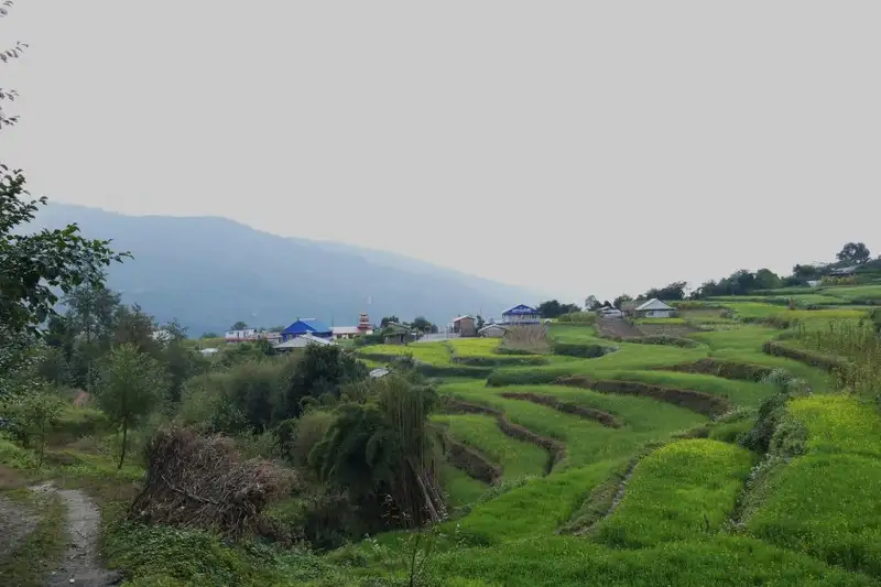 Nepal – Annapurna Panorama Lodge-Trek - Bild 16