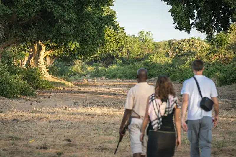 Südafrika - Afrikas Wildnis im Nordosten hautnah erleben - Bild 3