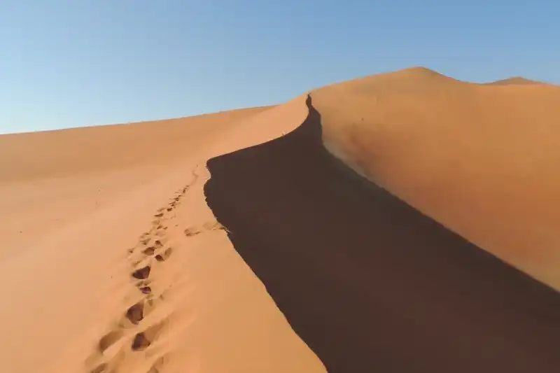 Namibia - die Wunderwelt der Wüsten - Bild 17