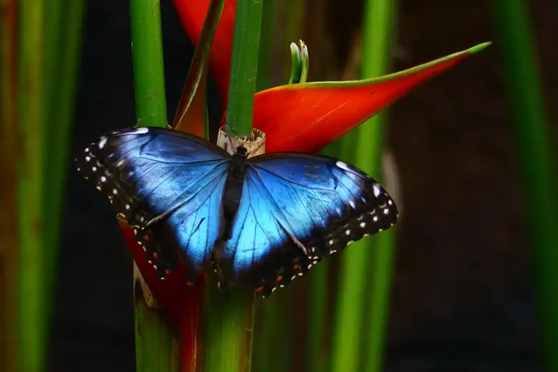 Costa Rica naturnah erwandern - Bild 1