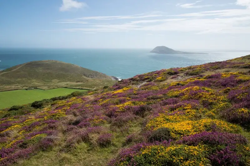 Jersey gemütlich erwandern - Bild 4