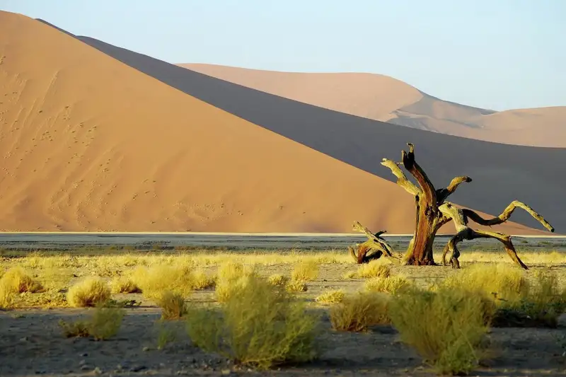 Namibias Naturwunder: Farbenpracht und grenzenlose Weite - Bild 1