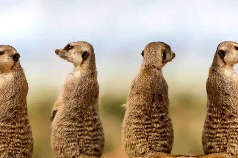 Namibia - die Wunderwelt der Wüsten - Bild 4