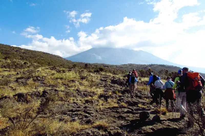 In Kleingruppen auf den Kilimanjaro: Lemosho-Route (Northern Circuit)  - Bild 15