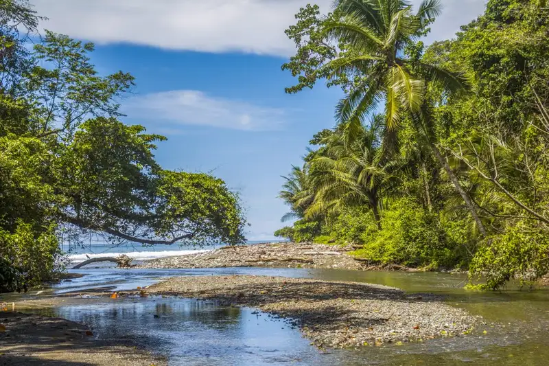 Costa Rica - Entdeckungsreise zu unberührten Nationalparks und lebendiger Kultur - Bild 7