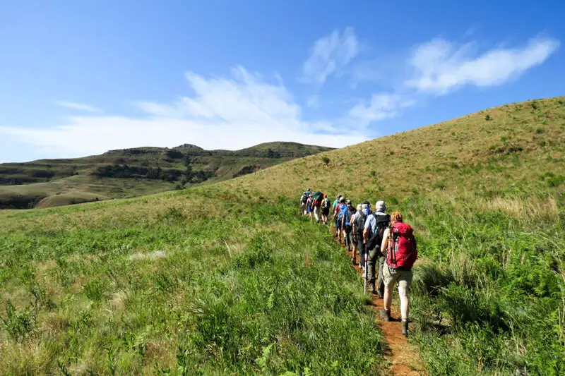 Südafrika - Drakensberge & Safari im Nordosten - Bild 10