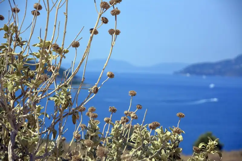 Albanien & Nordmazedonien  - Bild 8