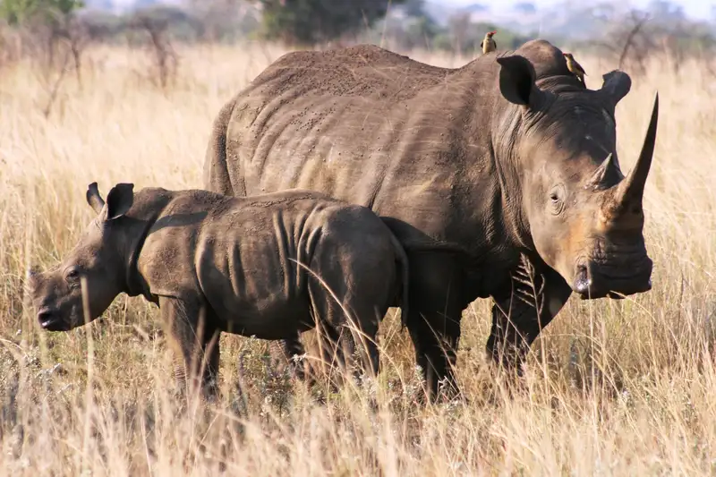 Südafrika - die Highlights der Kapregion entdecken - Bild 11