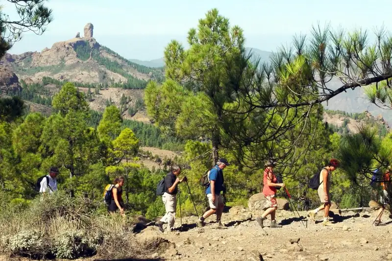 Die Highlights Gran Canarias erwandern - Bild 1