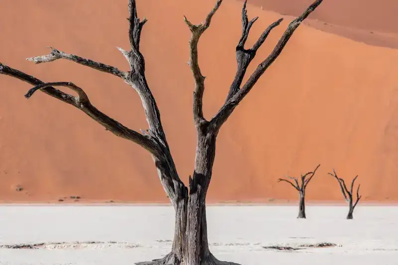 Namibia - die Wunderwelt der Wüsten - Bild 21
