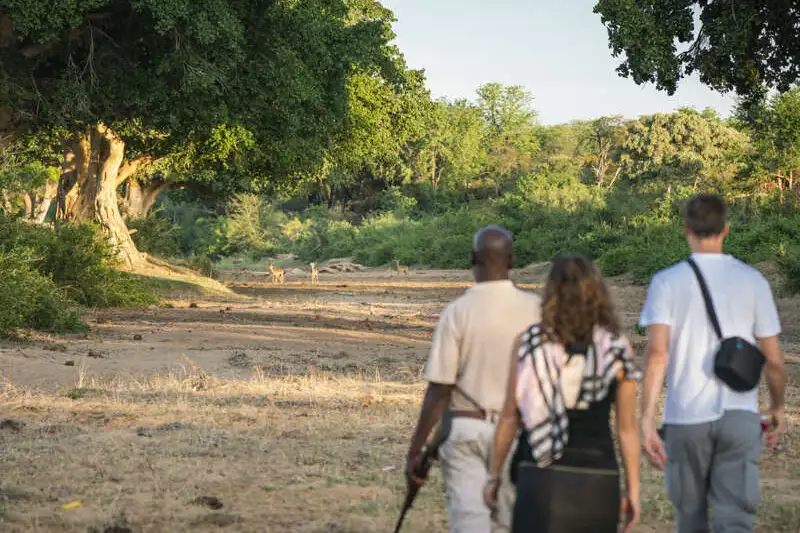 Südafrika - Drakensberge & Safari im Nordosten - Bild 6
