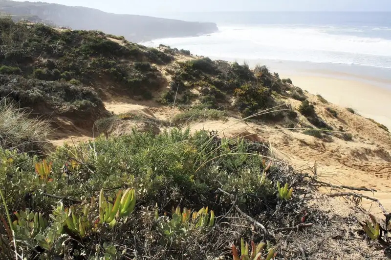 Entlang der Atlantikküste Portugals: Wilde Schönheit und bunte Hafenstädtchen - Bild 11