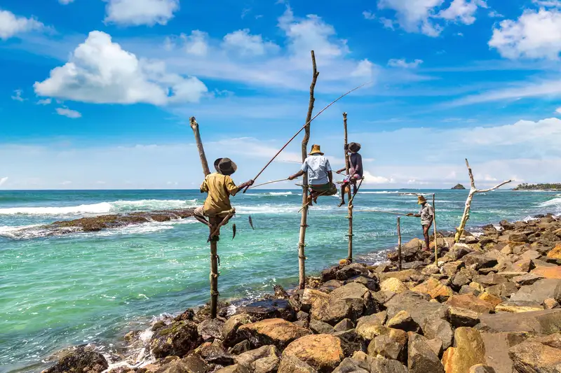 Sri Lankas Highlights erleben – Aktivreise durch Kultur und Natur - Bild 4