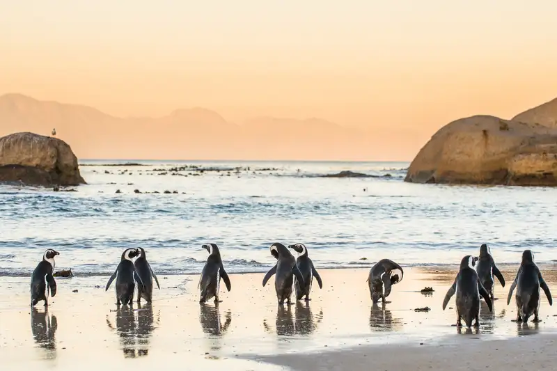 Südafrika komfortabel erwandern - Bild 1