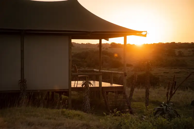 Südafrika - die Highlights der Kapregion entdecken - Bild 6
