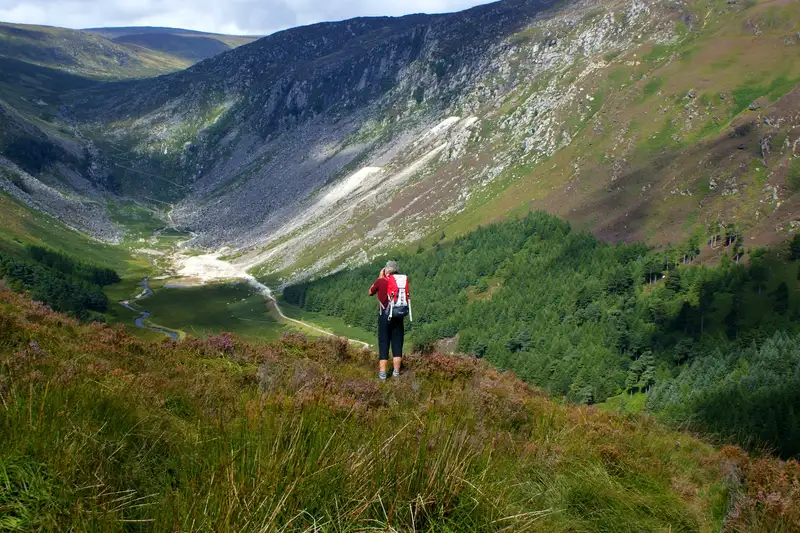 Irland - die Wicklows gemütlich erwandern - Bild 16