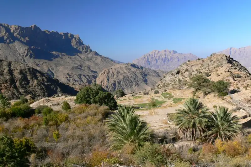Oman - Anspruchsvolles Trekking im Sultanat - Bild 2