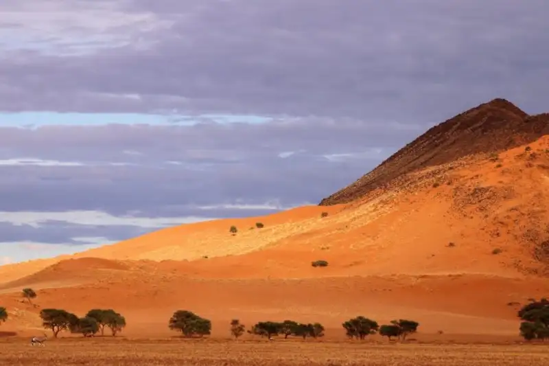 Namibias Naturwunder: Farbenpracht und grenzenlose Weite - Bild 3