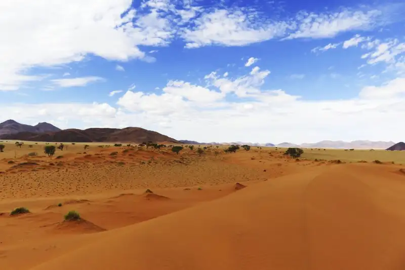 Namibias Naturwunder: Farbenpracht und grenzenlose Weite - Bild 9