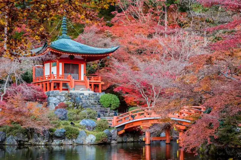 Japan: Kirschblüte oder Herbstlaub zaubern Farbenwunder - Bild 1