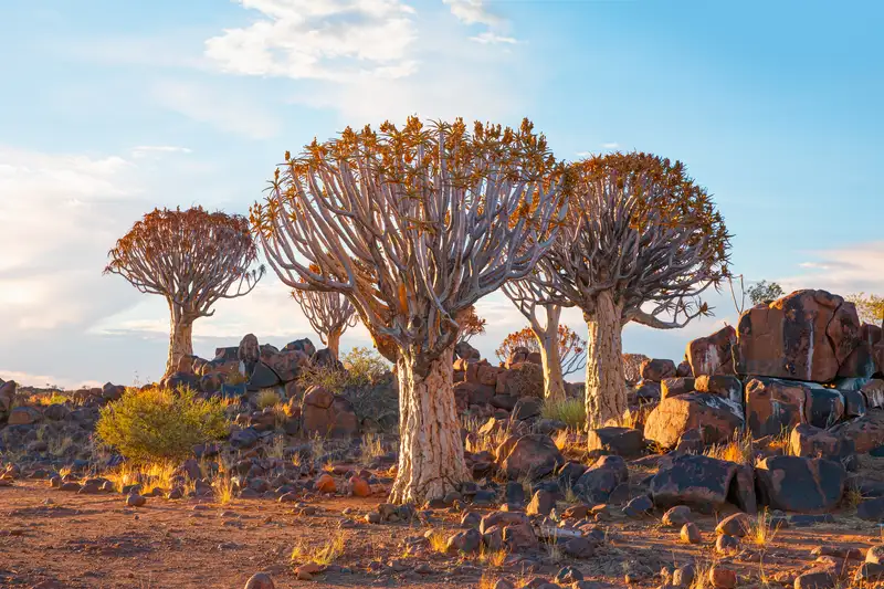 Namibia komfortabel erwandern - Bild 1