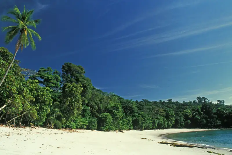 Costa Rica naturnah erwandern - Bild 15