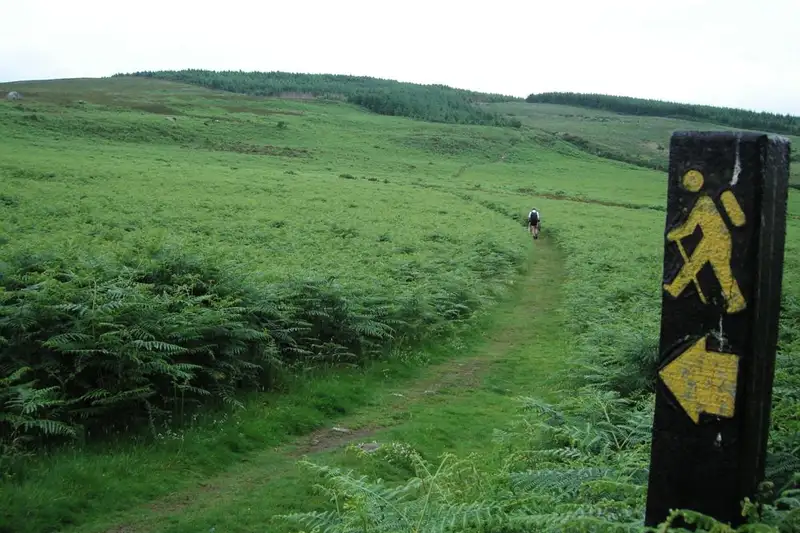 Irland individuell- In 8 Tagen entlang des Wicklow Ways - Bild 3