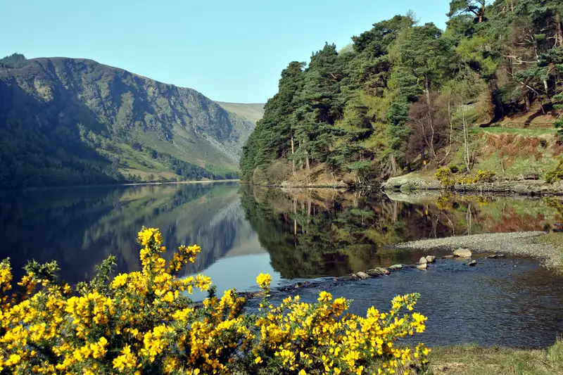 Irland - die Wicklows gemütlich erwandern - Bild 3