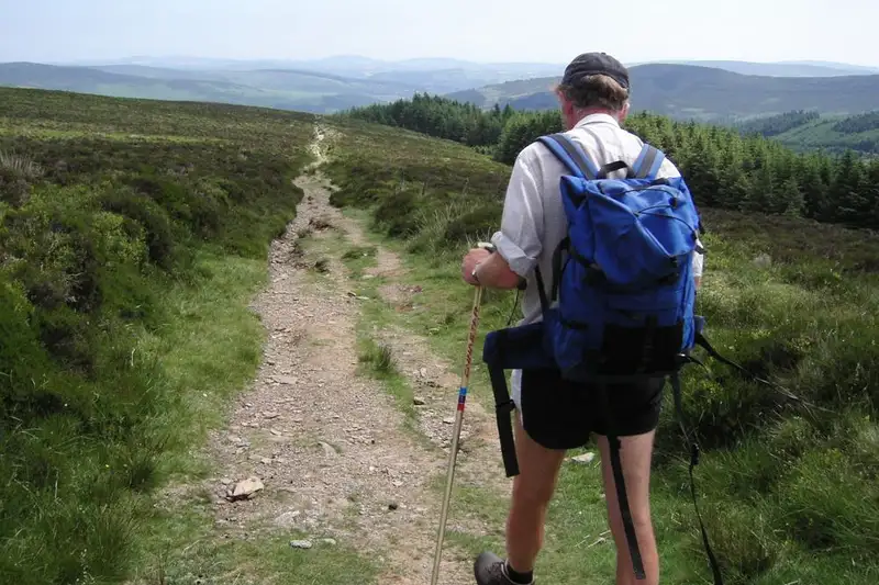 Irland individuell- In 8 Tagen entlang des Wicklow Ways - Bild 5