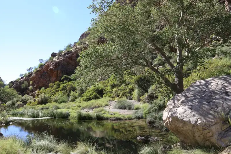 Namibia - die Wunderwelt der Wüsten - Bild 18