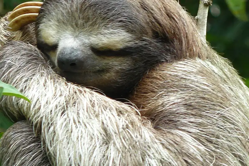 Costa Rica naturnah erwandern - Bild 7