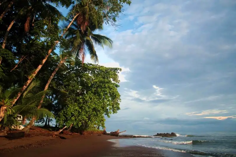 Costa Rica - Entdeckungsreise zu unberührten Nationalparks und lebendiger Kultur - Bild 20