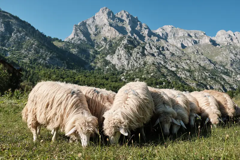 Albanien - Das Land der Kontraste erwandern - Bild 8