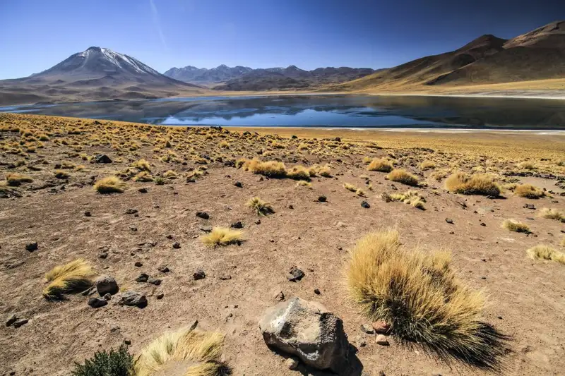 Chile - Das Land der Kontraste von Nord nach Süd - Bild 9