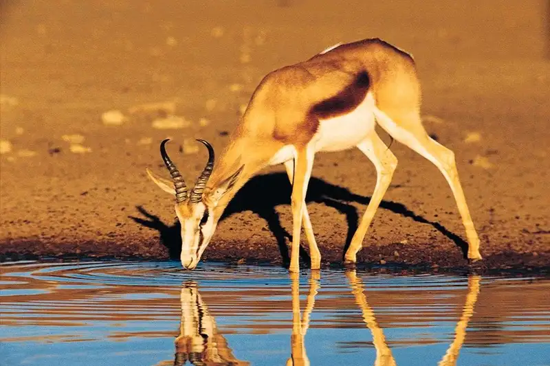 Namibia komfortabel erwandern - Bild 5