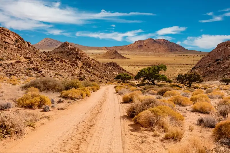 Namibia & Botswana - Tiervielfalt zwischen Wüstenbergen und Flussoasen - Bild 3