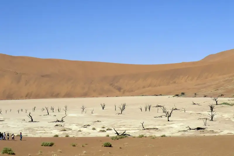 Namibias Naturwunder: Farbenpracht und grenzenlose Weite - Bild 29