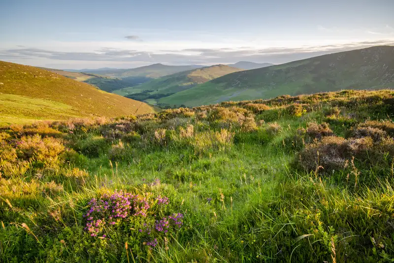 Irland - die Wicklows gemütlich erwandern - Bild 15