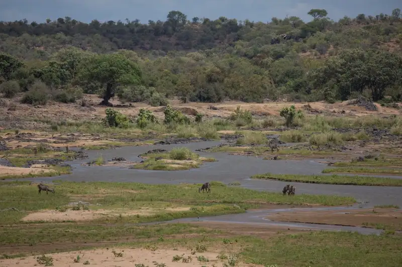 Südafrika - Afrikas Wildnis im Nordosten hautnah erleben - Bild 30