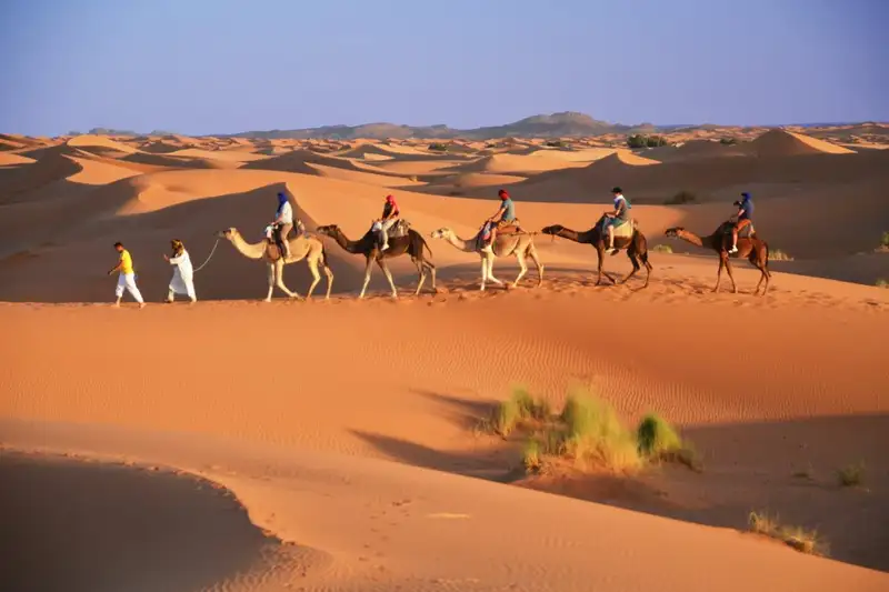 Magische Highlights Marokkos: Erkundung der Königsstädte und Sahara-Dünen - Bild 1