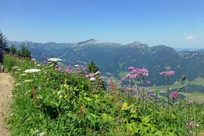 Bergwanderwoche rund um Oberstdorf im Allgäu - Bild 7